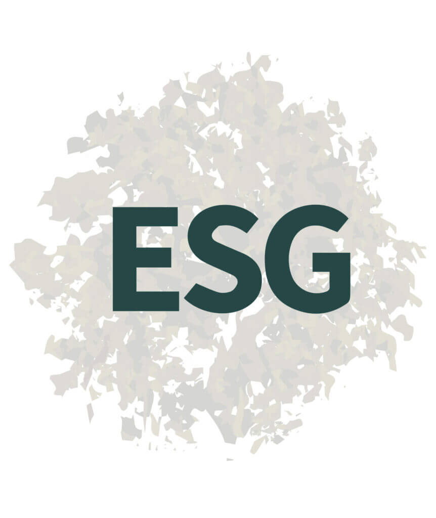 ESG ambiental