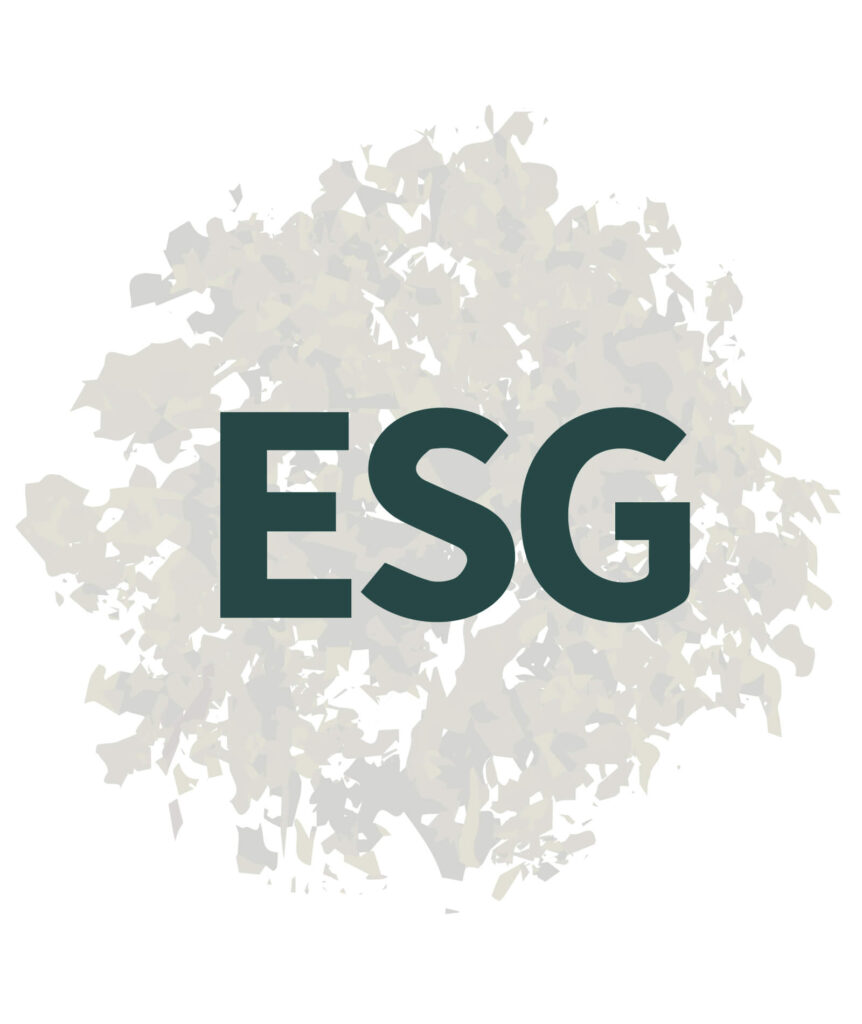 Governança corporativa ESG