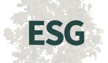 O que é ESG Entenda essa tendência