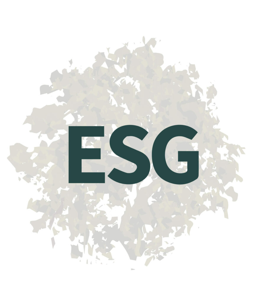 O que é ESG Entenda essa tendência