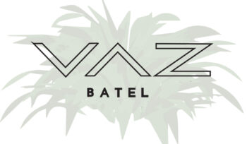 Vaz Batel: a experiência do morar