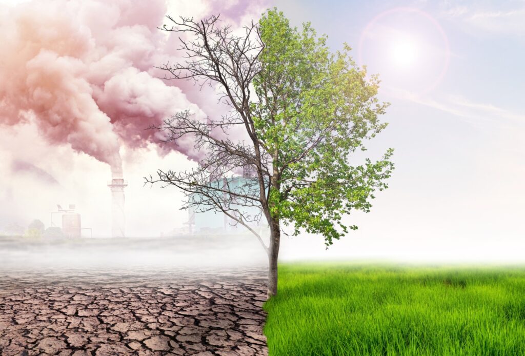 Imagem dividida de uma árvore: parte esquerda seca e poluída, representando a mudança climática nas cidades, e a parte direita verde e viva.