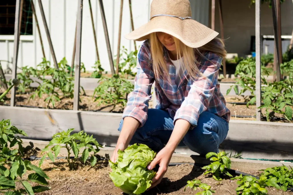 Imagem de uma moça cultivando verduras na horta urbana.